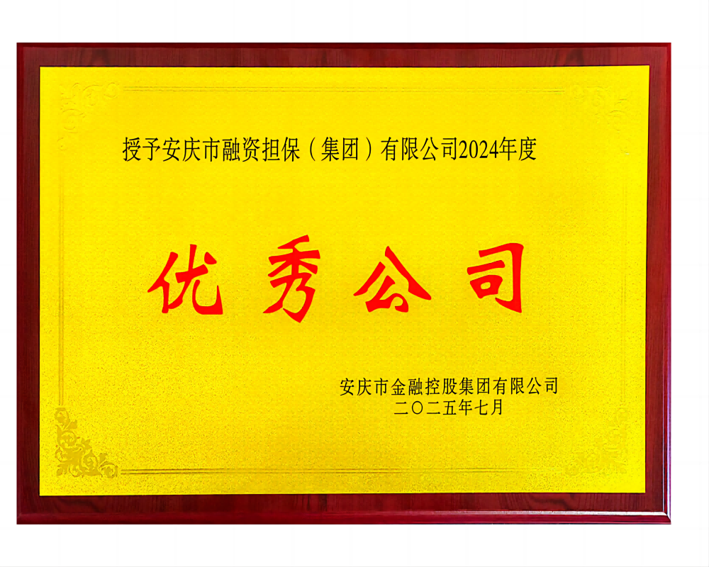 2024年度优秀公司